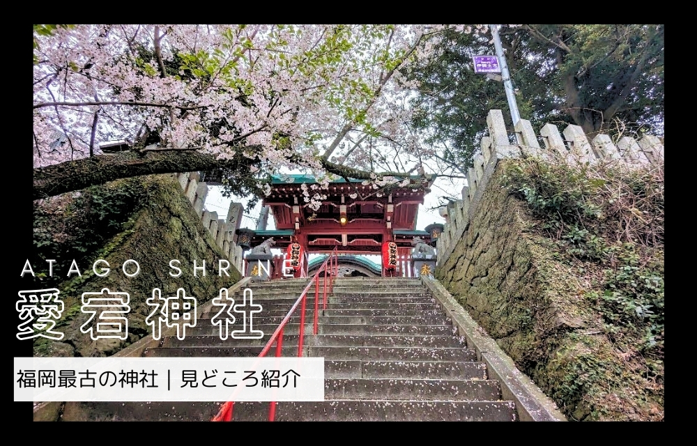 愛宕神社の見どころ