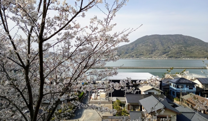 景観が良い場所での花見