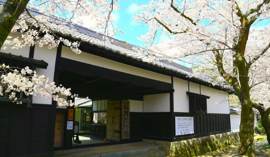 武家屋敷と桜