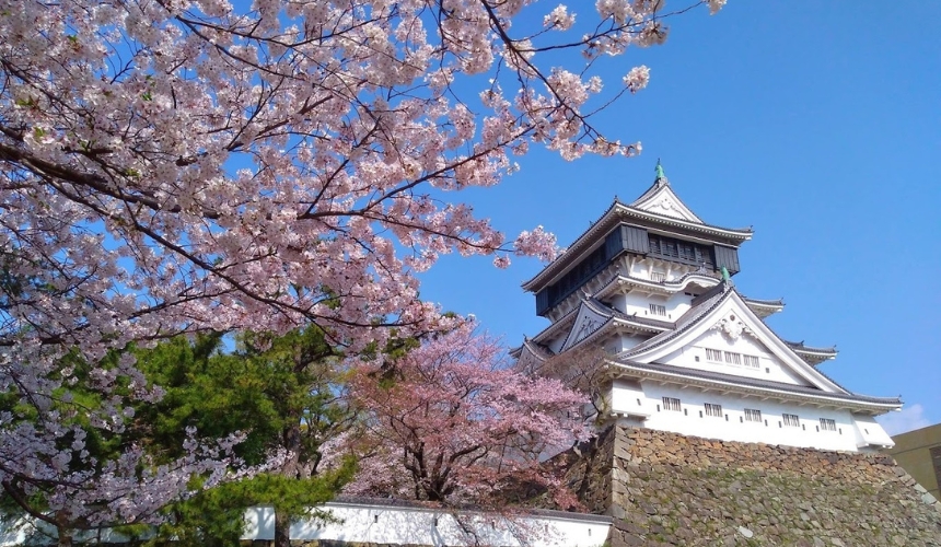 桜と小倉城