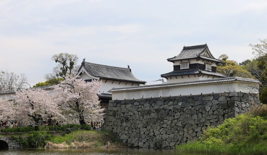 城と桜