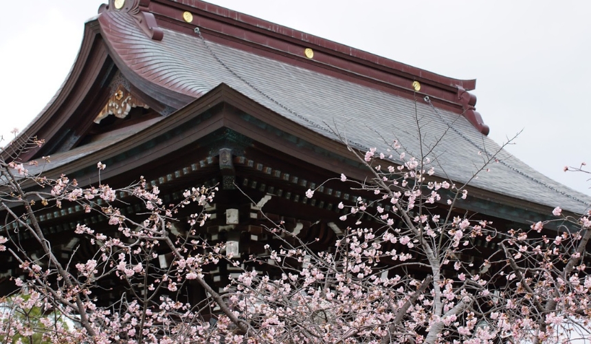 神社と桜