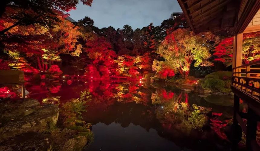 夜の景色