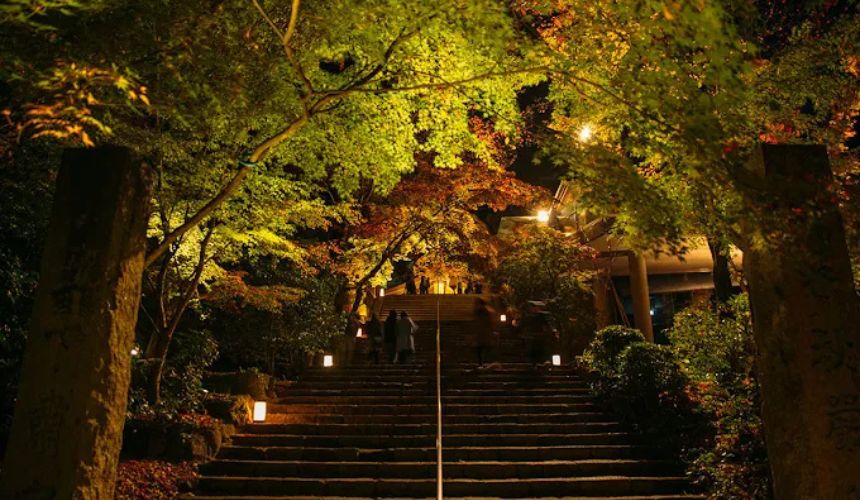 ライトアップした神社