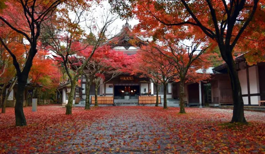 本堂の紅葉