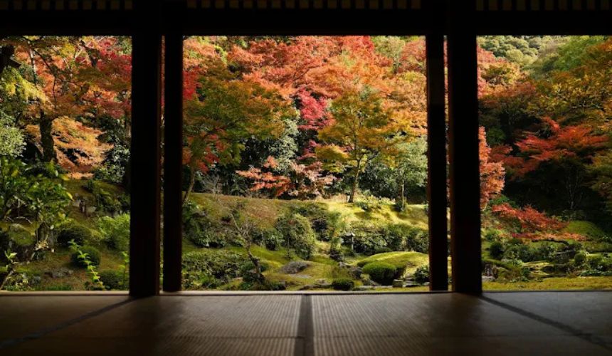 縁側から見える紅葉