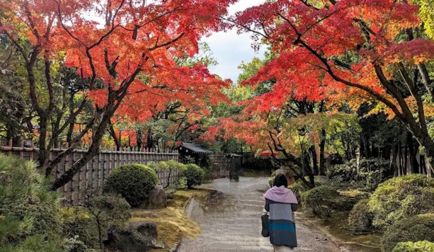 庭園