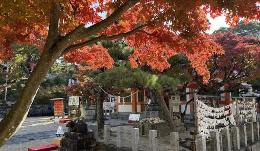 紅葉