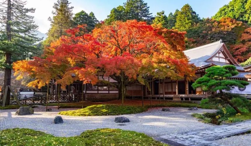 紅葉