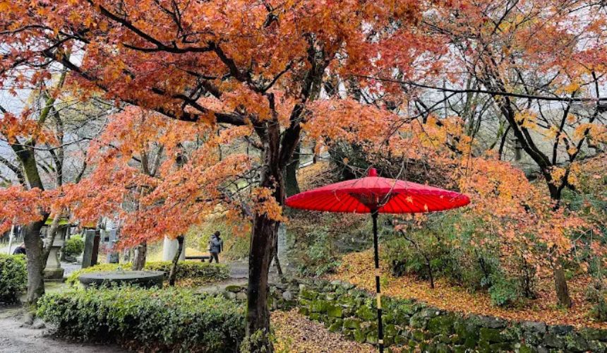 紅葉の景色
