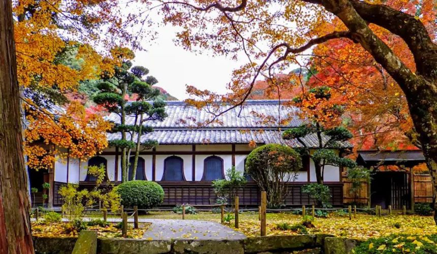 園内