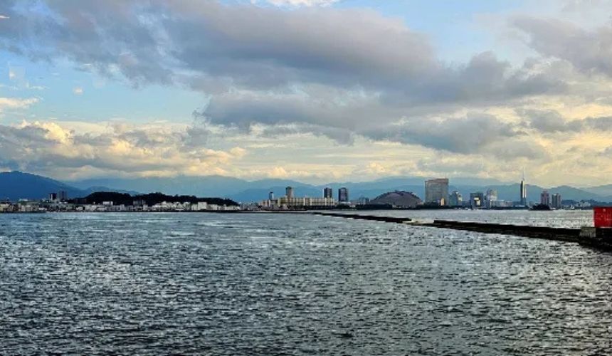 海