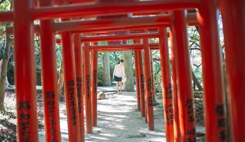 複数の鳥居