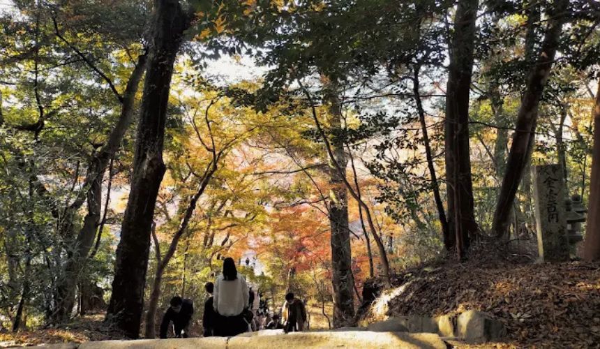 階段と紅葉